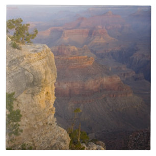 AZ, Arizona, Grand Canyon National Park, Zuid 7 Tegeltje