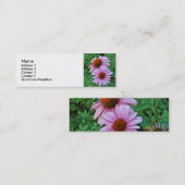 AZ- cartes de visite floraux roses de Coneflower (Devant / Derrière)