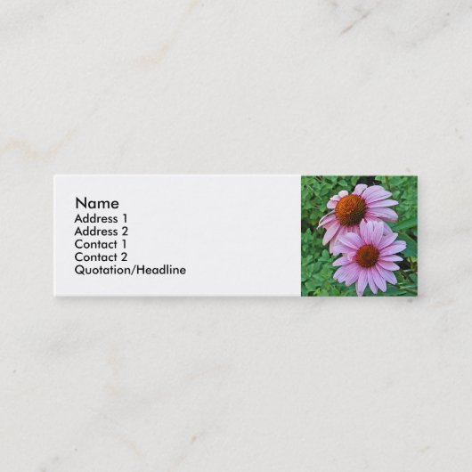 AZ- cartes de visite floraux roses de Coneflower (Devant)