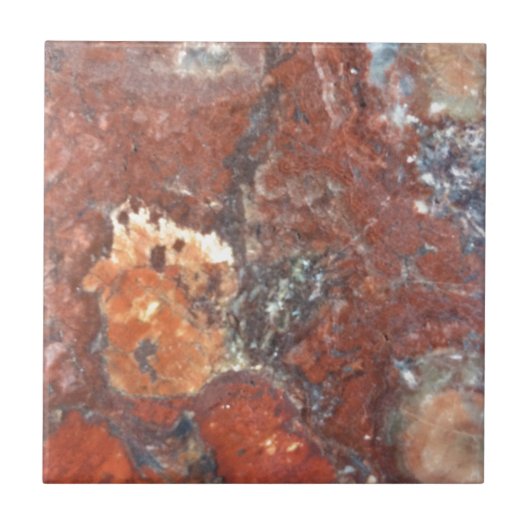 AZ Petrified Wood Tegeltje (Voorkant)