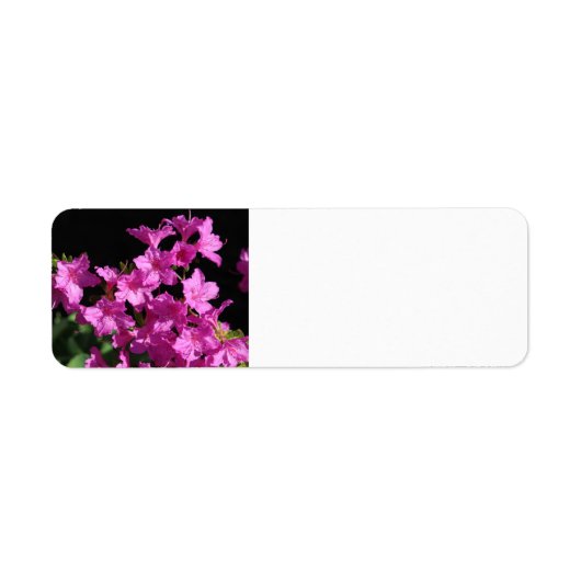 Azalea-adreslabel Etiket (Voorkant)