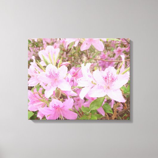 Azalea Bloom Close-Up Photography Canvas Afdruk (Voorkant)