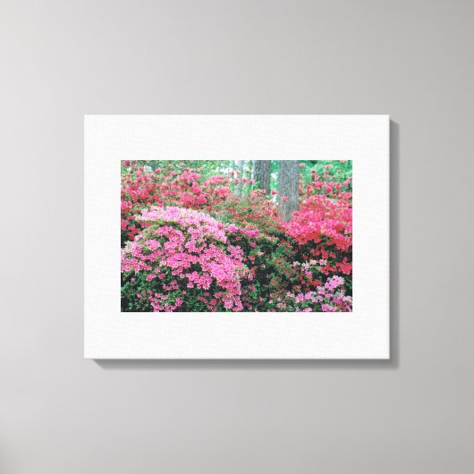 Azalea Canvas Afdruk (Voorkant)