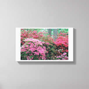 Azalea Canvas Afdruk