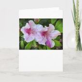 Azalea, carte (Devant)