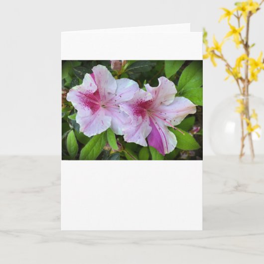 Azalea, carte (Fleur jaune)