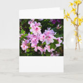 Azalea, carte (Fleur jaune)