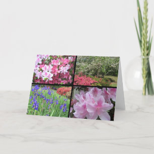 Azalea Dogwood Iris Collage Note Card Kaart
