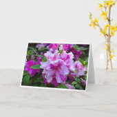 Azalea, kaart (Gele Bloem)