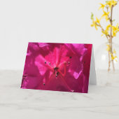 Azalea, kaart (Gele Bloem)