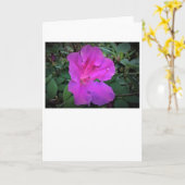 Azalea, kaart (Gele Bloem)