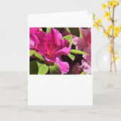 Azalea, kaart (Gele Bloem)