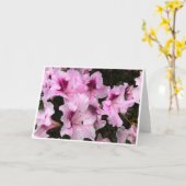 Azalea, Kaart (Gele Bloem)