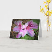 Azalea, kaart (Gele Bloem)