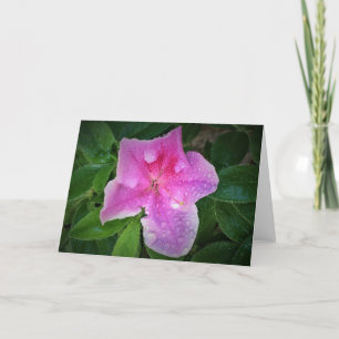 Azalea, kaart