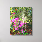 Azalea Path Bok Tower Gardens Lake Wales Canvas Afdruk (Voorkant)
