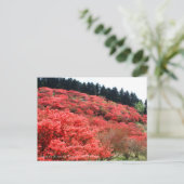 Azalea Scenery:Briefkaart Briefkaart (Staand voorkant)