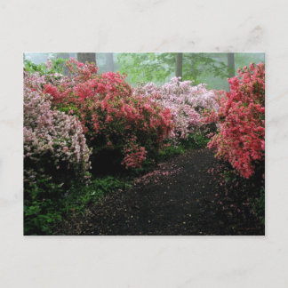 Azalea Walkway Briefkaart