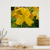 AZALEAS 10 Fleurs Jaunes Azalea Posters d'Art Impr (Cuisine)