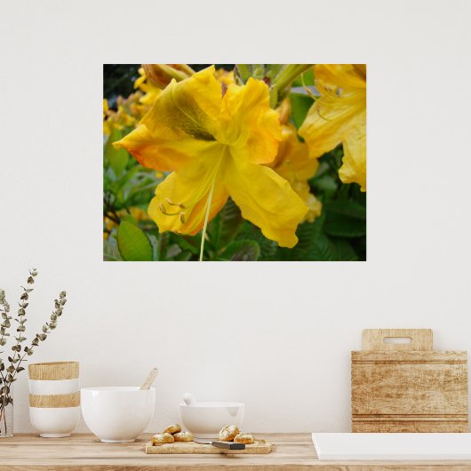 AZALEAS 10 Fleurs Jaunes Azalea Posters d'Art Impr (Cuisine)