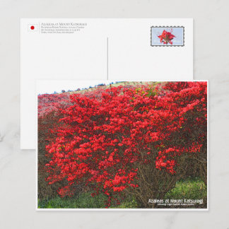 Azaleas at Mount Katsuragi ポストカード Briefkaart