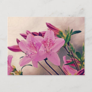 Azaleas Briefkaart