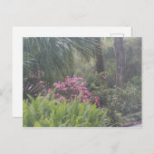 Azaleas en Ferns Briefkaart (Voorkant / Achterkant)