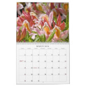 Azaleas Gardens Calendrier Rose Blanc Orange Azale (Mar 2026)