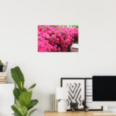 Azalea's in het volste Bloom Poster (Thuiskantoor)