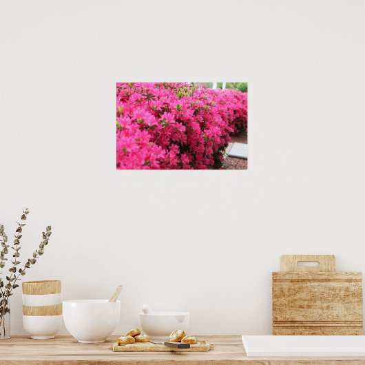 Azalea's in het volste Bloom Poster (Keuken)