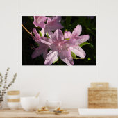Azaleas in Sunshine Poster (Keuken)