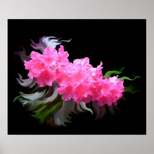 Azaleas Poster (Voorkant)