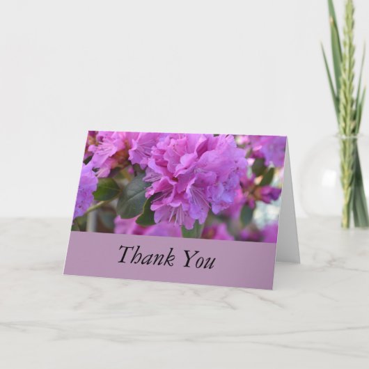 Azaleas violet Merci (Devant)