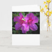 Azalée, carte (Fleur jaune)