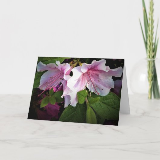 Azalée, carte (Devant)