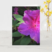 Azalée, carte (Fleur jaune)
