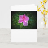 Azalée, carte (Fleur jaune)