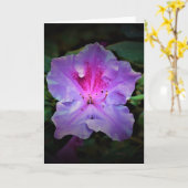 Azalée, carte (Fleur jaune)