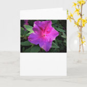 Azalée, carte (Fleur jaune)
