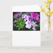 Azalée, carte (Fleur jaune)