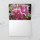 Azalée, carte (Intérieur)