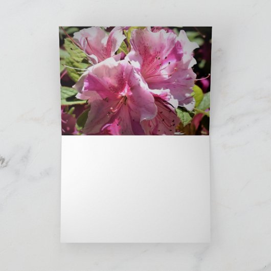 Azalée, carte (Intérieur)