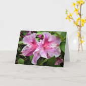 Azalée, carte (Fleur jaune)