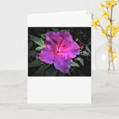 Azalée, carte (Fleur jaune)