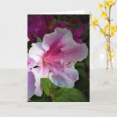 Azalée, carte (Fleur jaune)