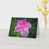 Azalée, carte (Fleur jaune)