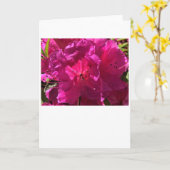 Azalée, carte (Fleur jaune)