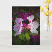 Azalée, carte (Fleur jaune)