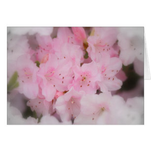 Azalées roses