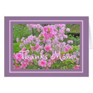 "AZALÉES ROSES" MERCI MAMAN/JOYEUSE FÊTE DES MÈRES